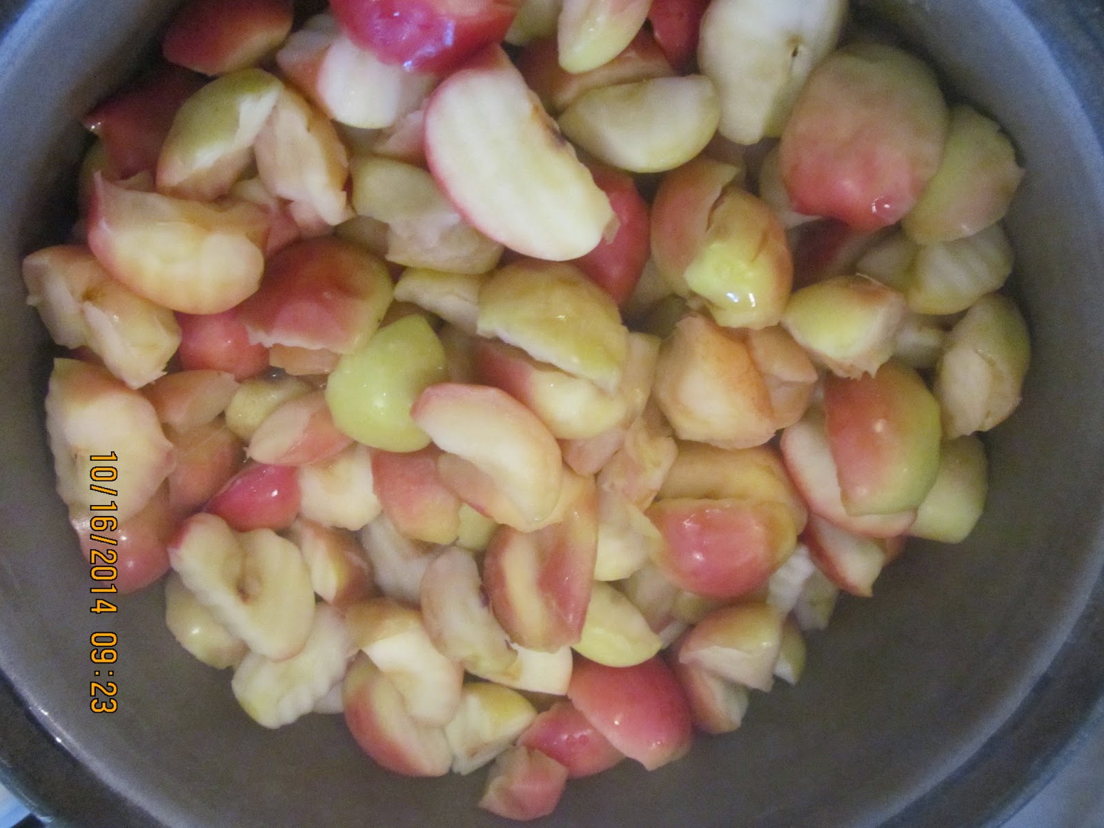 Savings for Sisters Tip of the Week Making Applesauce (Part II)