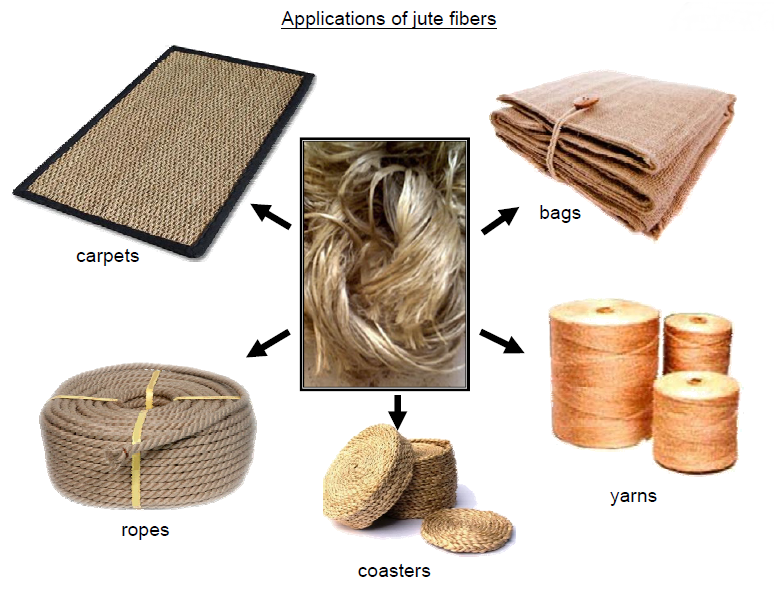 Textile Fiber, Yarn Spinning, Woven and Knit Fabric, Dyeing, Garments