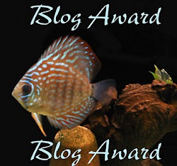 Blog Award