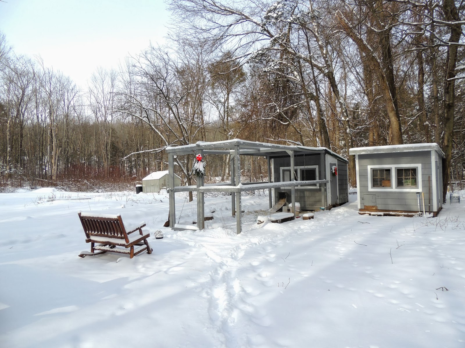 Linn Acres Farm Why we don't light our coop in the winter.