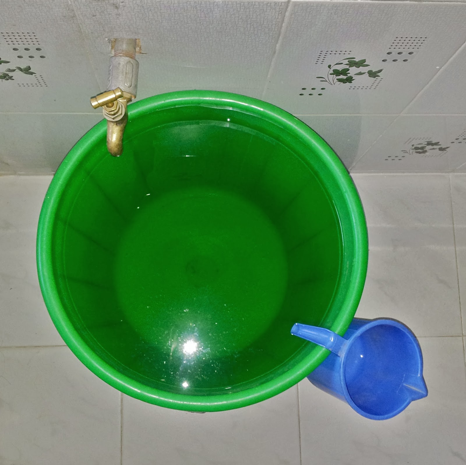 Eleanor & the Elephants How to take a bucket shower the Nepali way