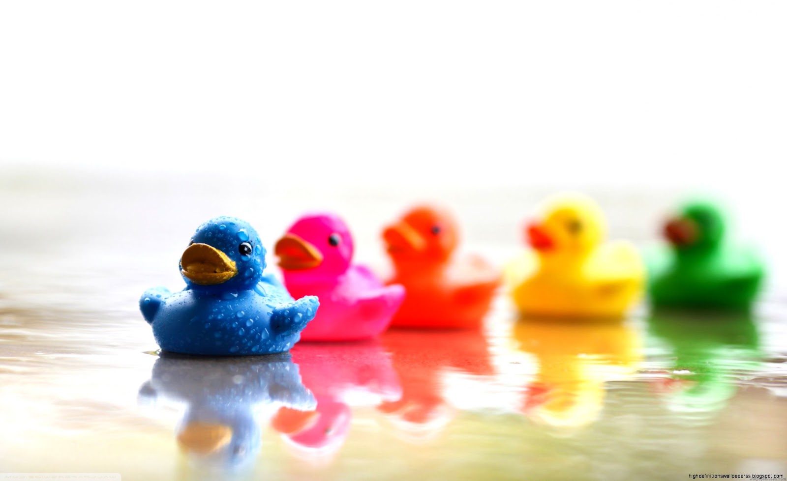 Colorful Rubber Ducks Colorful Rubber Ducks