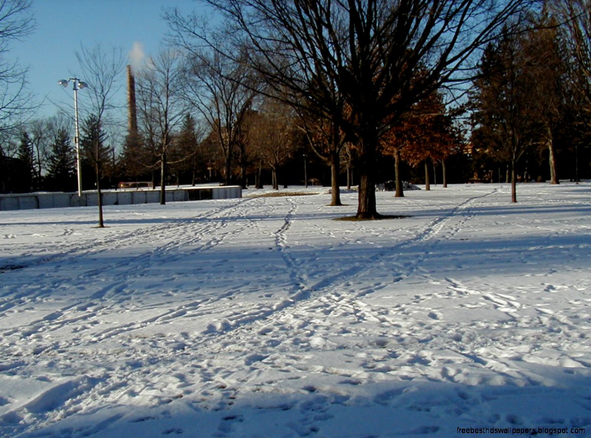 Snow Path Formation Simulation Snow Path Formation Simulation