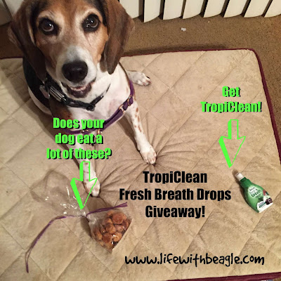 TropiClean keeps your dog's breath fresh with its new Fresh Breath Drops.
