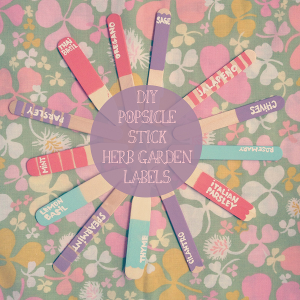 Oh So Lovely Vintage Popsicle stick herb garden labels!