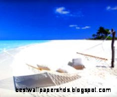 White Sand Beach Hammock White Sand Beach Hammock