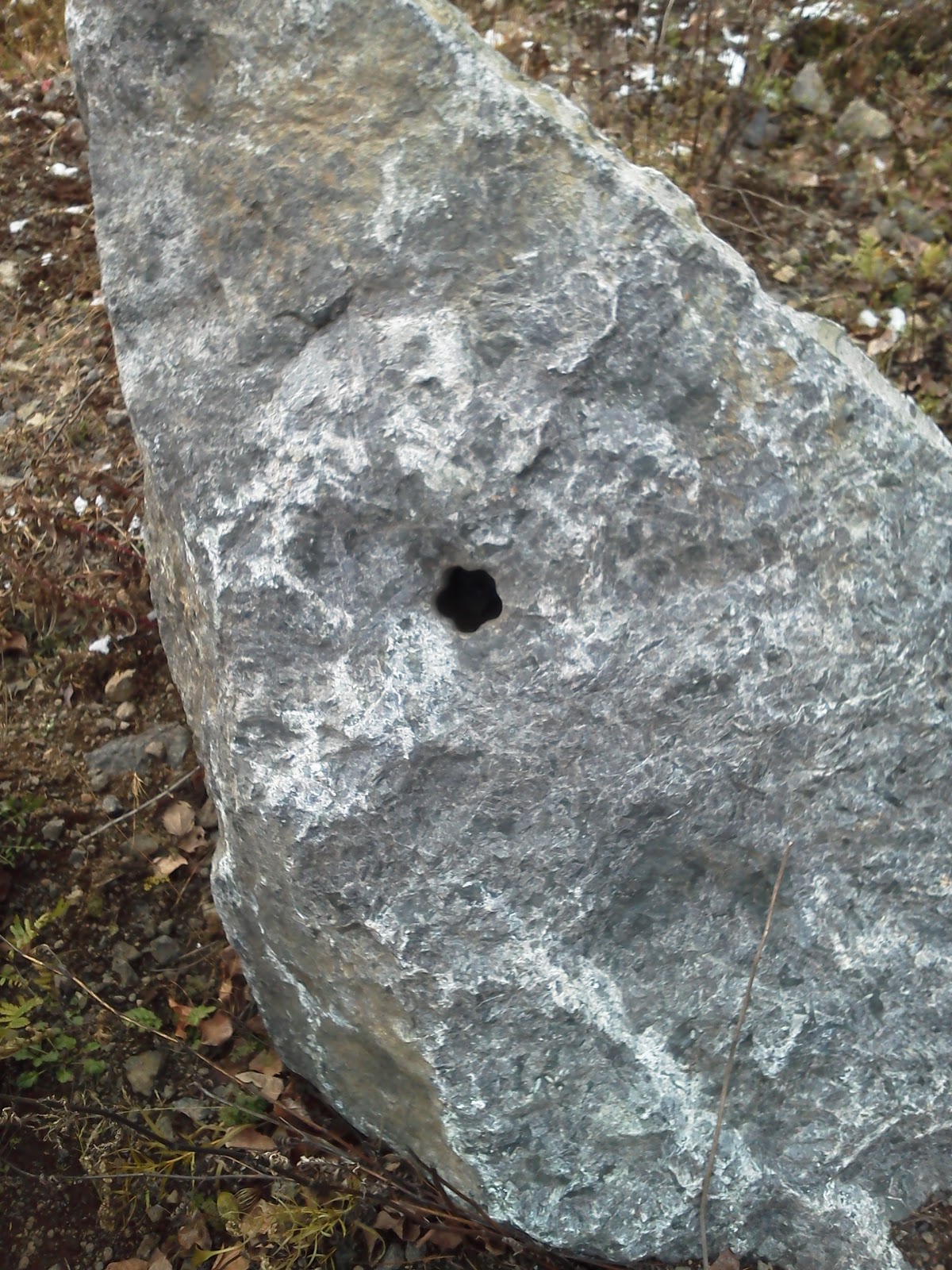 Mysterious artifacts and anomalies in rock