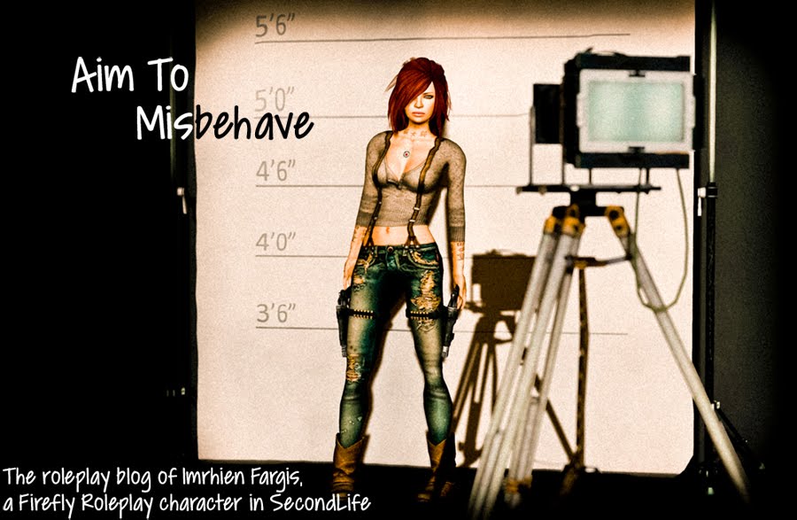 Aim To Misbehave