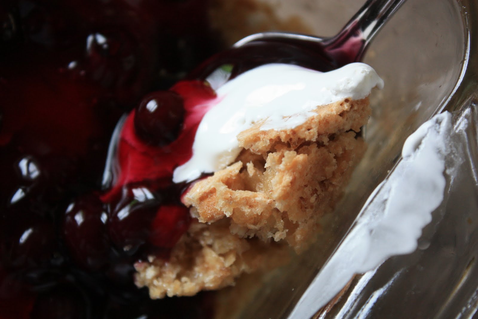 Homestead Blueberry Delight