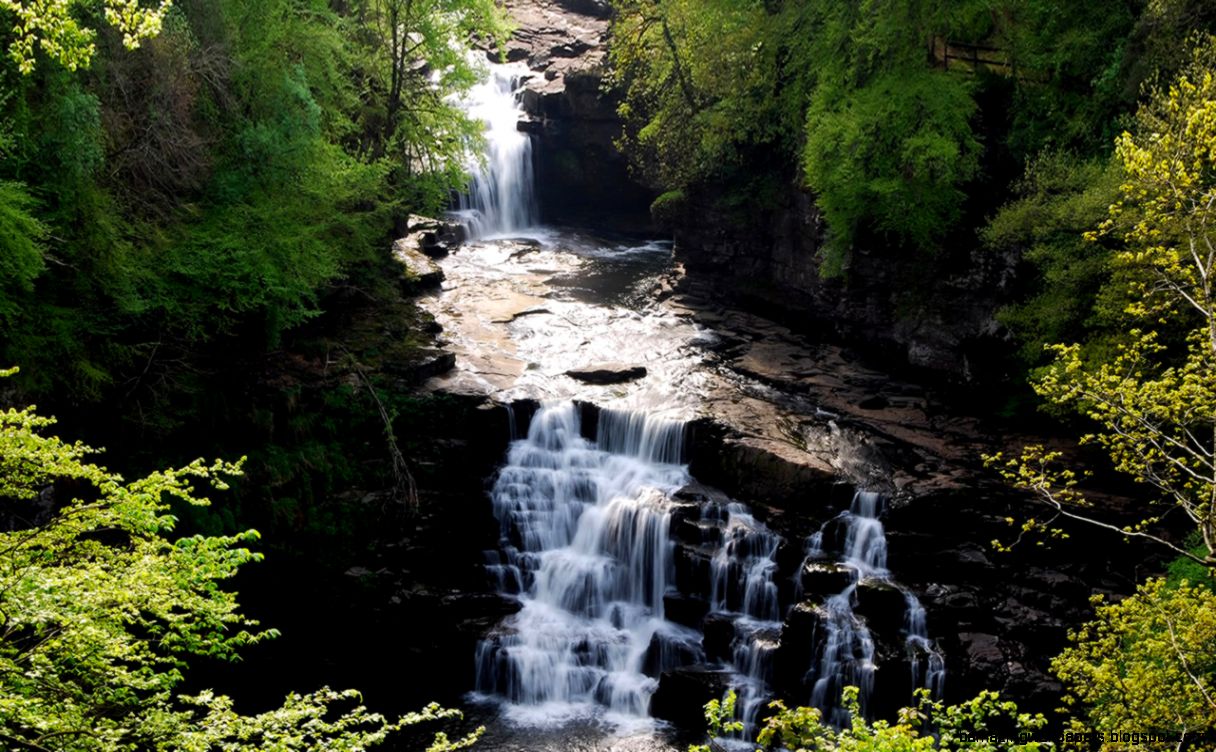Jesus and Jamess “Spring of Water” Words on the Word Jesus and Jamess “Spring of Water” Words on the Word