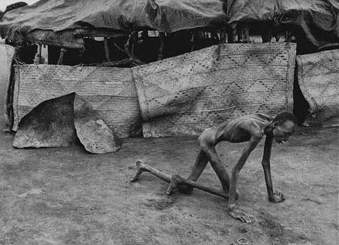 rwandan genocide 1994 survivor of hutu death camp by james