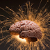 Mengenal Lebih Dekat Neurosains Kognitif  Pada Otak Kita