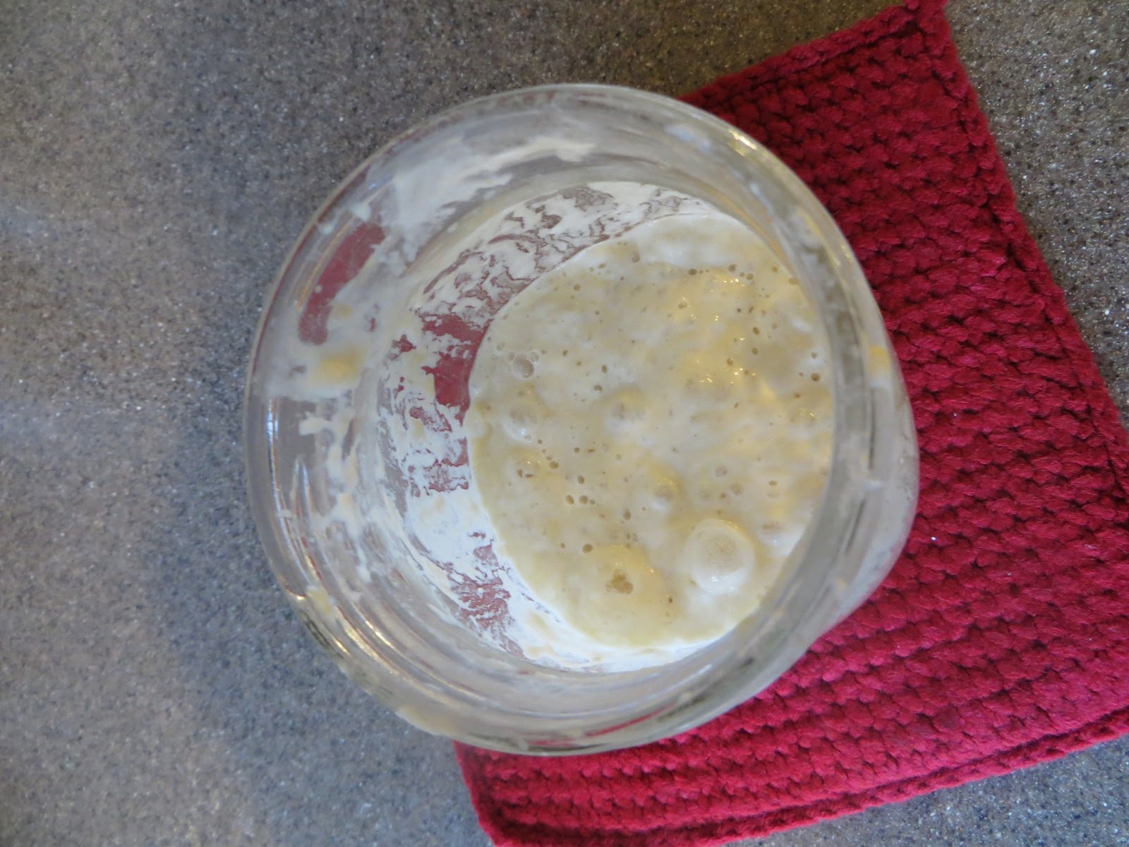 Adventures with Natural Yeast Natural Yeast Starter made from Raisins