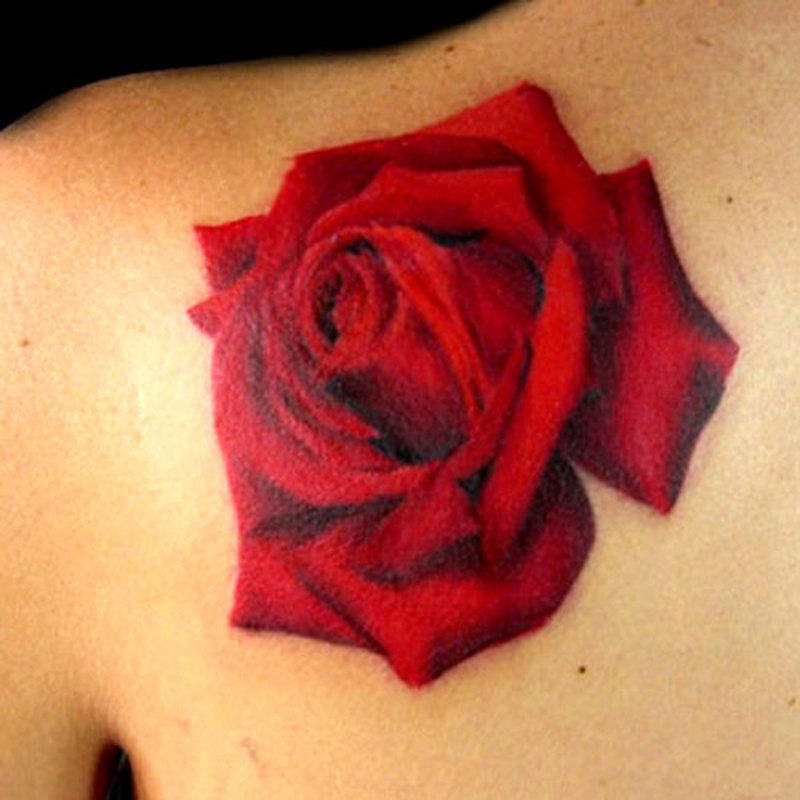 Rose Tattoo 1 For more tattoos click here Posted by tenant86 at 133 AM