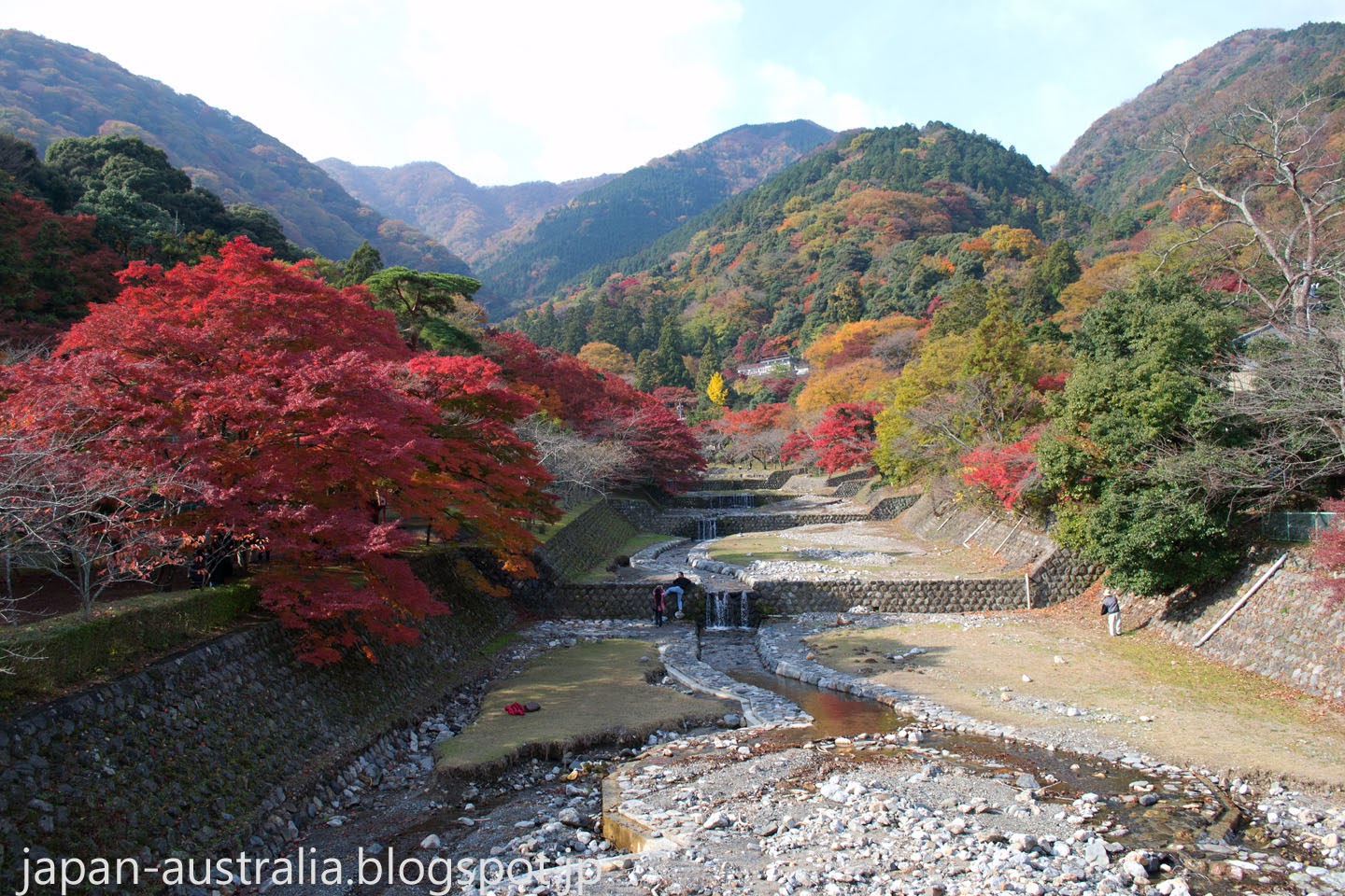 Japan Australia Autumn Leaves at Yoro Park