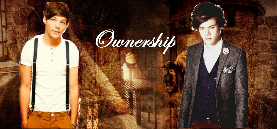 Ownership (Larry Stylinson)