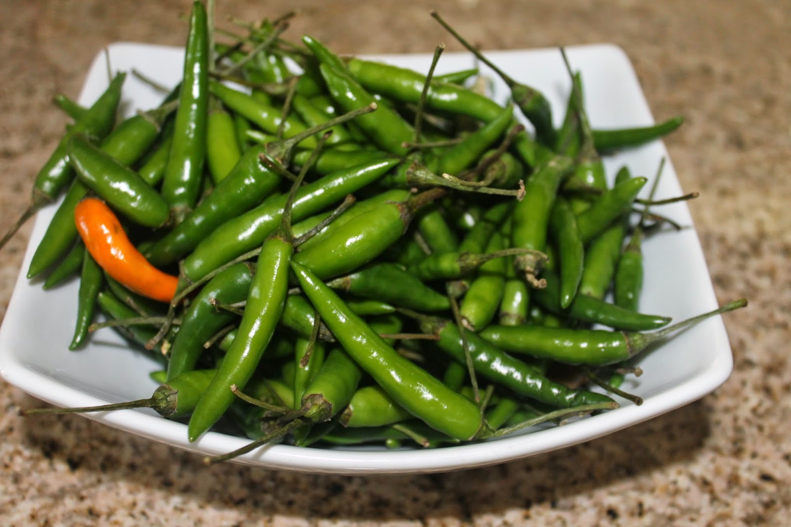 VineelaSiva Tip of the day2(How to store green chillies)