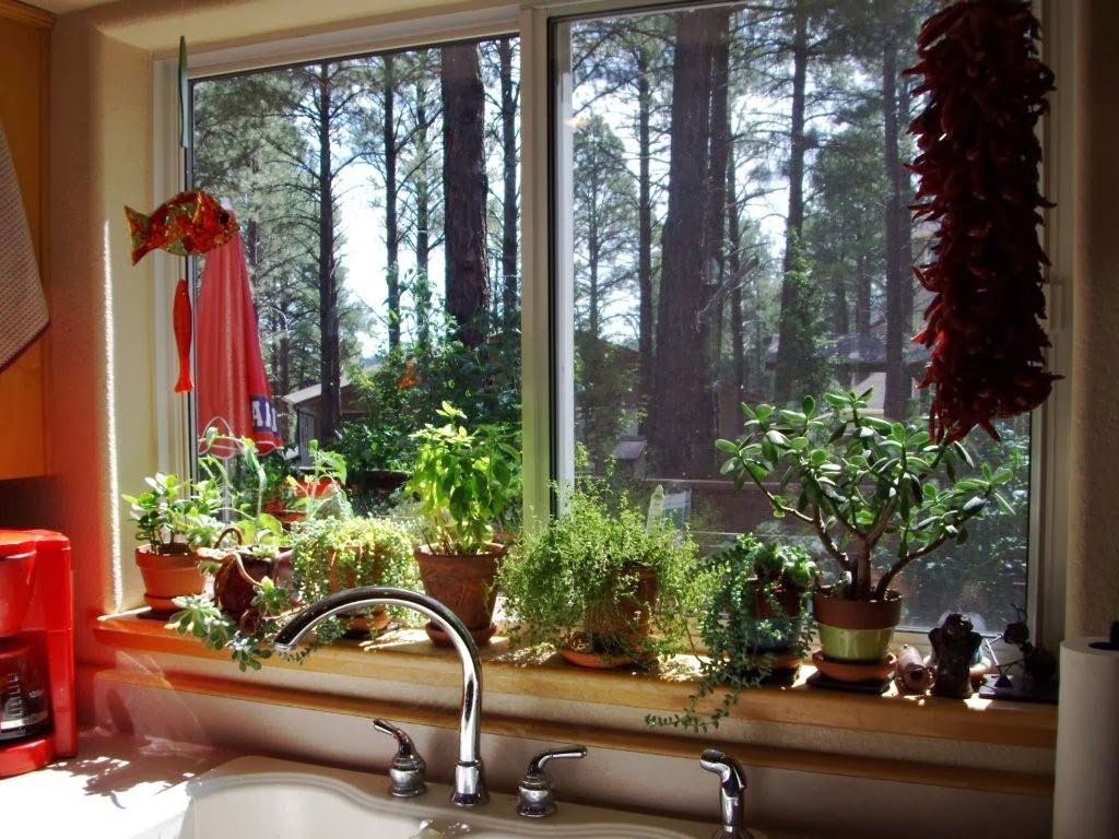 HIGH COUNTRY GARDENER: WINDOWSILL GARDENING