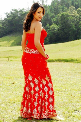 Trisha red gown hot photos