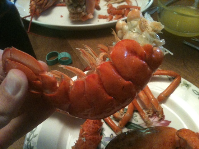 Kanada�nın Lobster Istakozu (Nova Scotia Style)OMA Etkinlik Dünyası