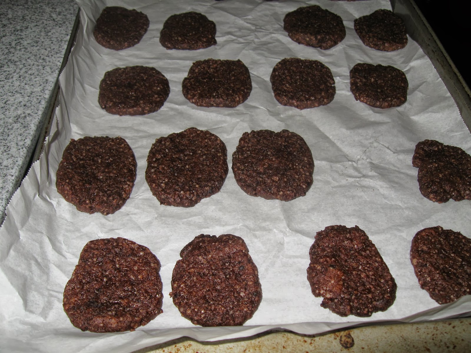 It's a good thing I like Hummus Vegan Chocolate Wafer Cookies & Icebox