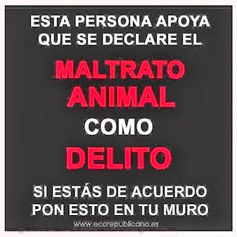 NO AL MALTRATO ANIMAL