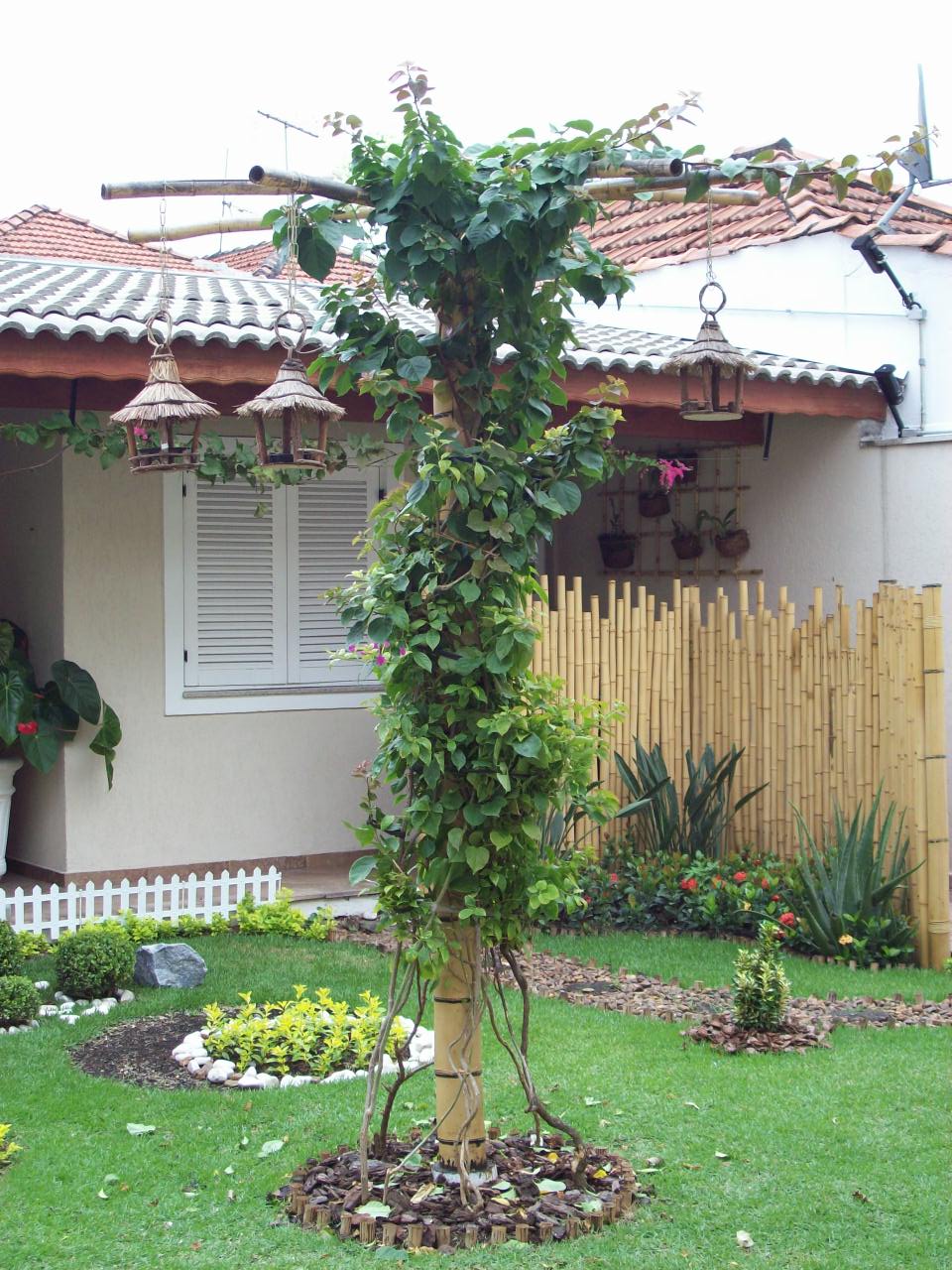 trelica bambu jardim:Artbambu e palha: Cerca de bambu indiano para jardins de inverno trelica bambu jardim:Artbambu e palha: Cerca de bambu indiano para jardins de inverno