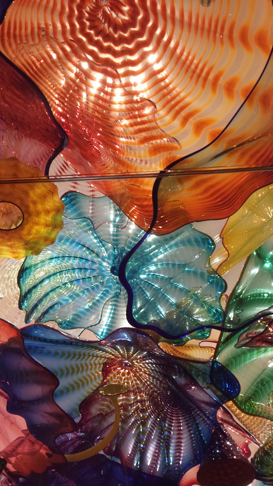 Amelia Island Southern Fiction OKC Art