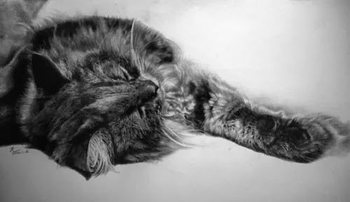 06-Hyper-realistic-Cats-Pencil-Drawings-Hong-Kong-Artist-Paul-Lung-aka-paullung-www-designstack-co