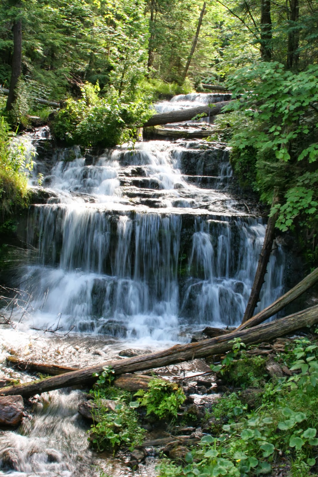 Isabella Conservation District Environmental Education Program Waterfalls