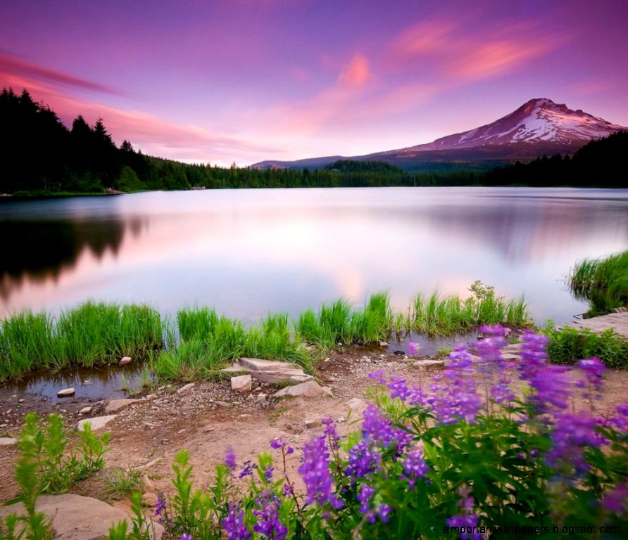 hd nature wallpapers for mobile hd nature wallpapers for mobile