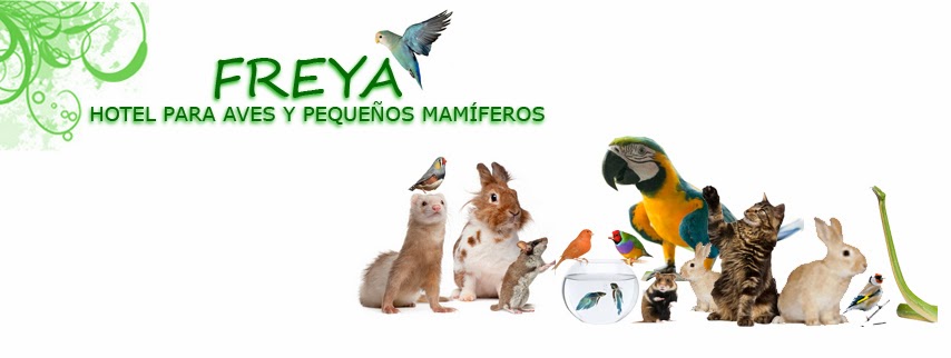 Freya Hotel para Aves en España