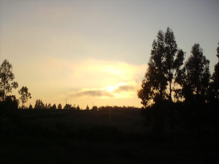 puesta de sol en mayo 2010
