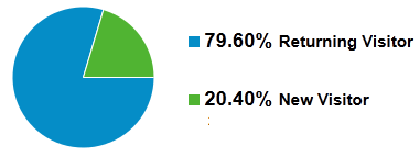 new vs returning visits