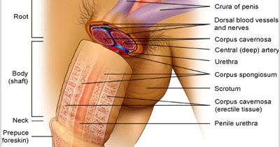 definition of a multiple orgasm beyonce fucking nude porn