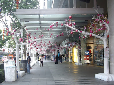Somewhere in Singapore Blog: Christmas Decorations @ Orchard Central