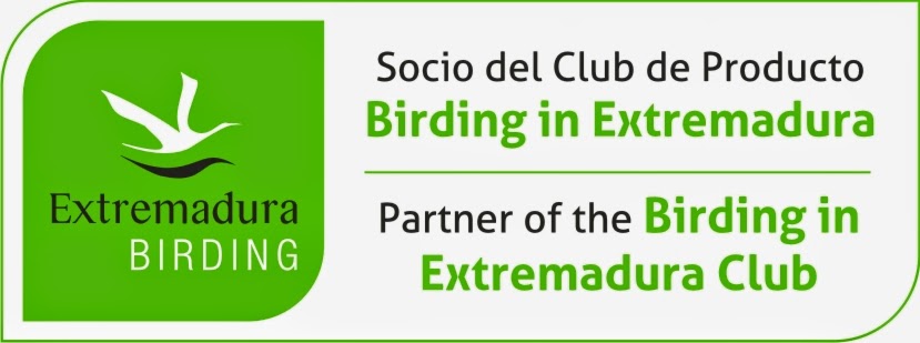 Extremadura Birding
