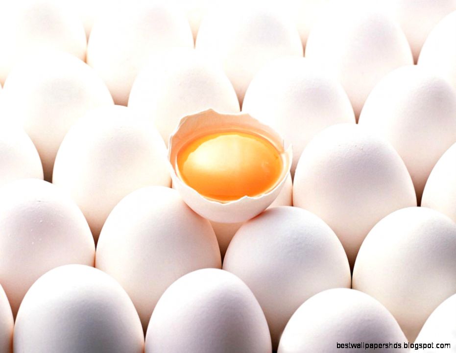 Giveaway Great Day Farms All Natural Eggs for a whole year Giveaway Great Day Farms All Natural Eggs for a whole year