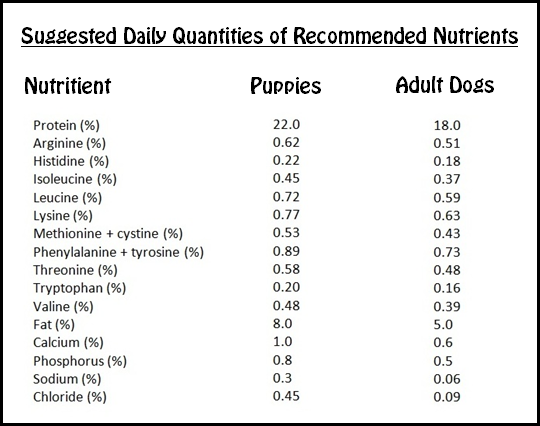 Dog S Nutritional Needs Chart