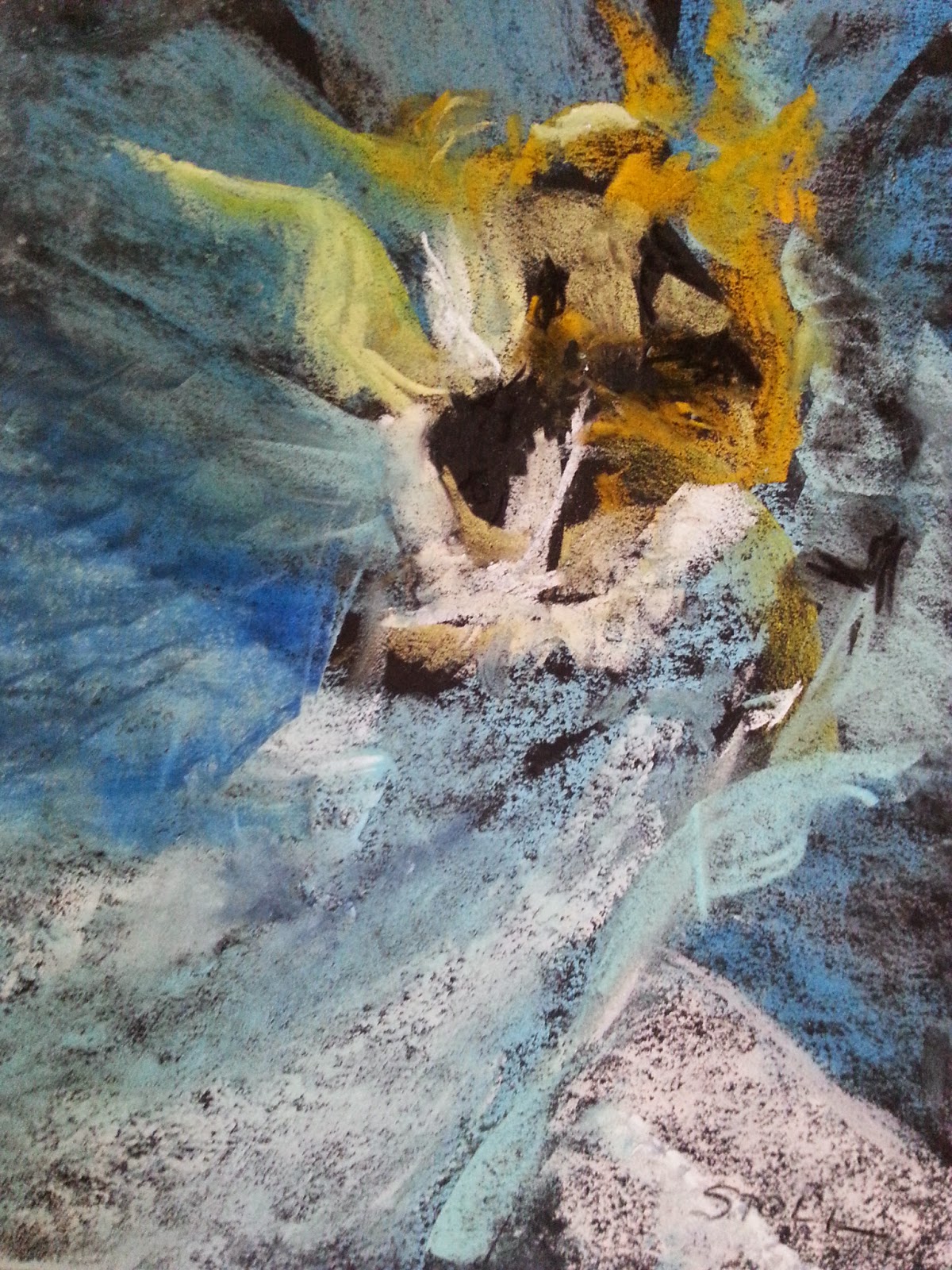 Anita Stoll Pastels Sublime