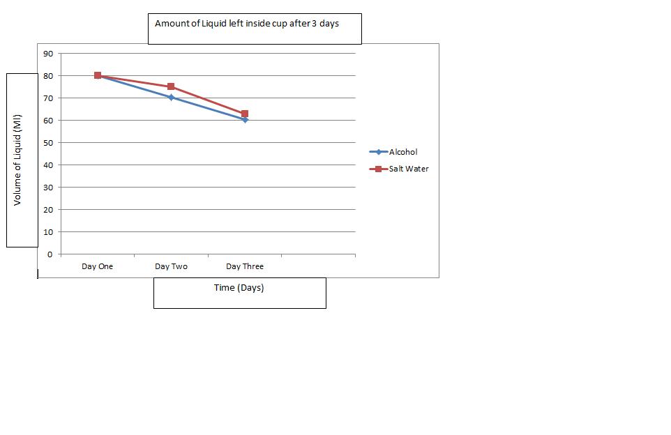 Gio EPortfolio Egg Lab