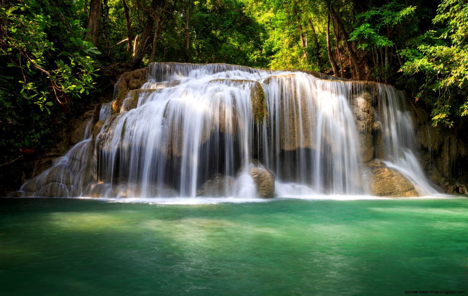Forest with Waterfall Forest with Waterfall