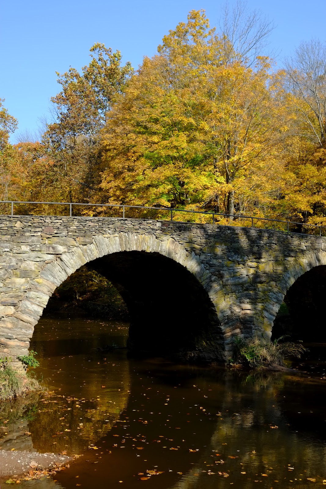 Thoughts From My Camera Eddie Adams Workshop Xxv