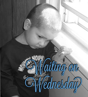 Waiting on Wednesday #3..Just a day late :)