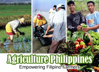 Department of Agriculture Department of Agriculture
