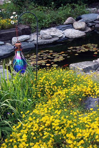 Pond Liner Blog: Top Ten Tips for Building Your Dream Backyard Pond