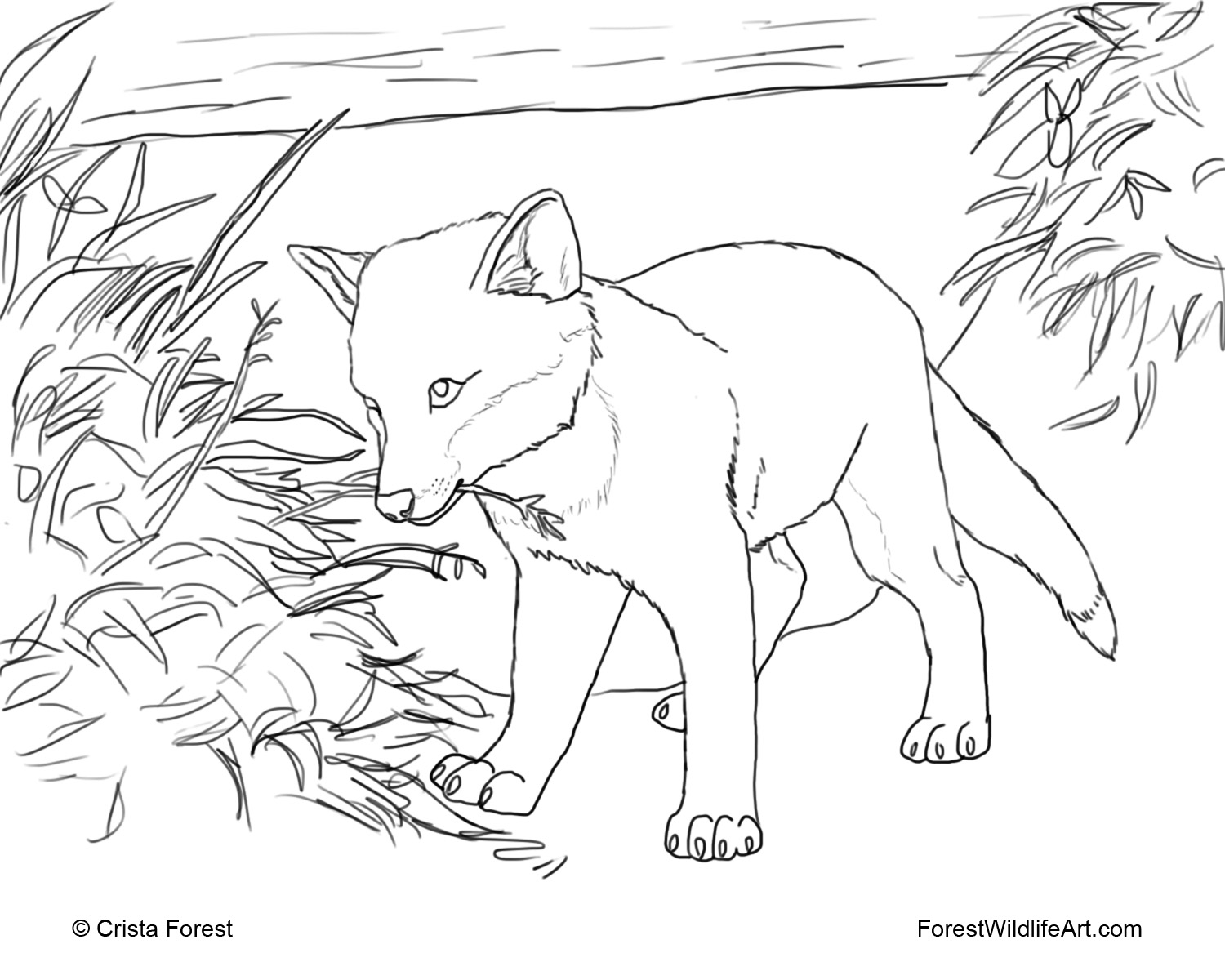 Kids Coloring Pages Printable