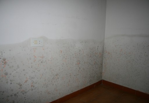 Peritararquitectura Danos Por Inundacion De Vivienda