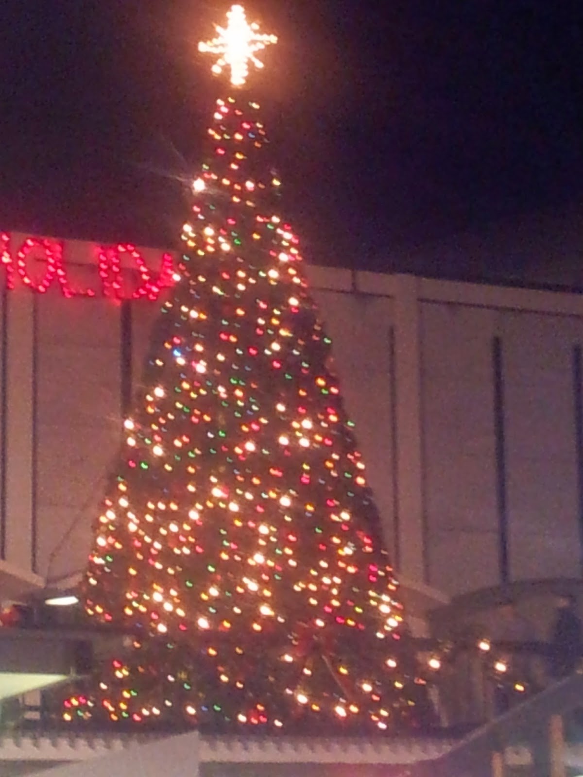 DothanLife Dothan Christmas Tree Lighting December 2nd