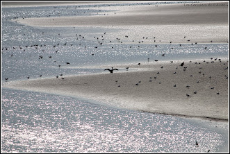 La Baie de Somme